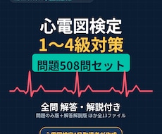 心電図検定1〜4級508問PDFお渡しします イメージ1