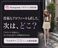 インスタアカウント全体を分析・添削します イメージ1