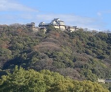 よろしくお願いします イメージ1