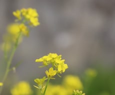 自分の手持ちのカメラで写真を撮ります 息をのむほどの自然の美しさをお届けします！