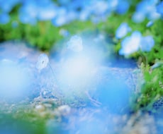 うつ・愛着障害の生きづらさに寄り添います イメージ1