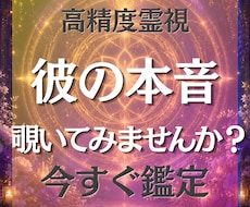 彼の本音を【高精度霊視】　隠された本心を鑑定します 今すぐ～12時間以内スピード鑑定！未来の流れを含め詳細鑑定