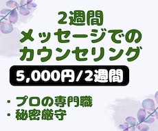 プラカウンセラーがカウンセリングします イメージ1