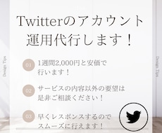 安価でTwitter(X)運用代行を致します 運用代行を1週間だけ頼むということも可能です！
