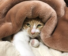 知らない人に聞いてもらうとスッキリします イメージ1