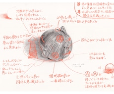 鉛筆デッサン入門~初級の添削します 独学の方向け、誰かの意見がほしいとき