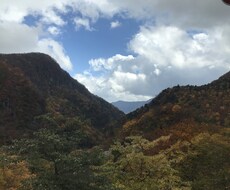 人間関係相談、恋愛相談のります イメージ1