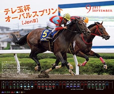 南関競馬・究極の馬券術を教示します 南関競馬に興味のある方。少額投資で高配当を望まれる方。