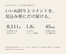 インスタのいいね回りとコメントを30日代行します イメージ1