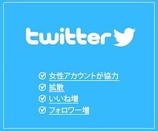 Twitter戦略！複数アカで約4万人に宣伝します SNSのフォロワー獲得・宣伝・拡散・PR・広告のお手伝い
