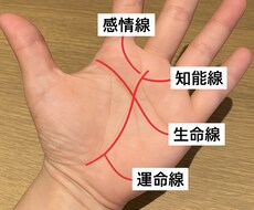 優しくあなたの手相読み解きます