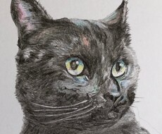 ねこ(いぬ)の似顔絵を描きます イメージ1