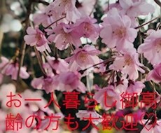 コロナ禍でも、いつでも電話で繋がれます お一人暮らしやご高齢の方も大歓迎！気兼ねなく電話して下さい。
