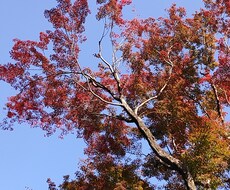 愚痴聞きます 小さな愚痴から、人に相談できない悩みまで、