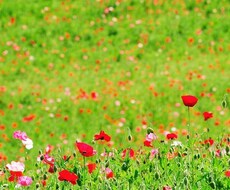 大学で上手くやる方法を教えます 大学にこれから入学する方、在学中の方へ！