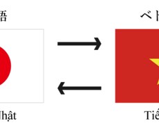 ベトナム語と日本語の通訳または教育できます