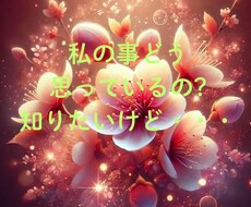 聞けない想い、カードで読み解きます 知りたいけれど聞けない…その気持ちに寄り添います