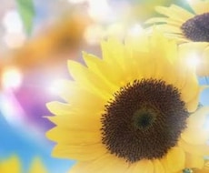 兎に角長く話したい！方、待ってます (時間に追われず１ヶ月じっくり話をしたい方にオススメ！)
