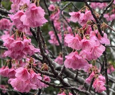 誰にも言えない気持ち、そっと受け止めますます イメージ1