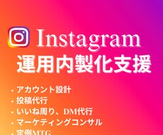 インスタアカウント運用の内製化を支援します イメージ1
