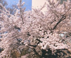 カテゴリ不問！！どんな相談でも受け付けます イメージ1