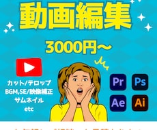Youtube、各種SNS動画編集いたします ¥3000〜丁寧にご対応いたします！