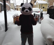 パンダがまじめな質問　変な質問に自分なりの答えをだしますパンダ