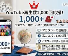 YouTube再生数を1000回増加します イメージ1