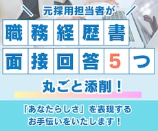 職務経歴書（新卒はES）・面接の回答を添削します イメージ1