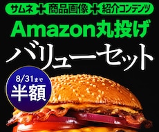 丸投げOK★Amazon商品画像まるごと作成します サムネ・商品画像・紹介コンテンツA＋までワンストップ制作！