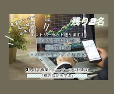 専業と同じエントリー出来ます 月50万利益プラン《1ヶ月》※残高10万スタートの場合