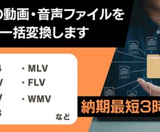 高品質！動画・音声ファイルを一括変換・軽量化します イメージ1