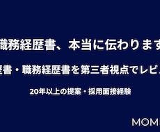 履歴書・職務経歴書を第三者視点でレビューします イメージ1
