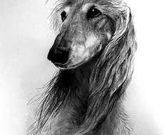 ペットの写真で水墨画を描きます イメージ1