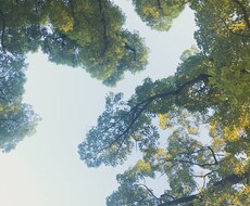 寝坊・遅刻の言い訳考えます イメージ1