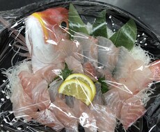 オンラインで魚の捌き方をレッスンします イメージ1