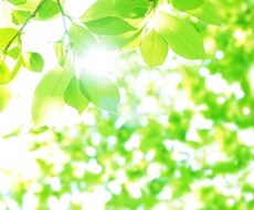 将来の方向性を視ます イメージ1