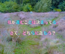 24時間以内に決断☆二者択一について背中を押します ♡タロット♡それぞれの未来がどうなるか見てみませんか？