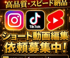 Tiktok等ショート動画の編集を承ります イメージ1