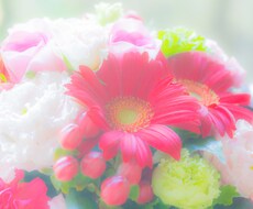 NEW あなたが求める写真、提供します 綺麗な風景写真など欲しい方、撮影リクエストにも応じます