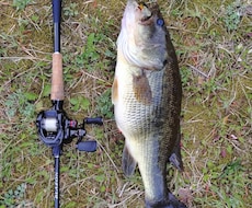 春バス　初心者〜中級者の釣れない悩みを解決します イメージ1