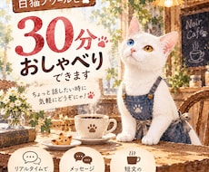 白猫ノワールと30分おしゃべりできます イメージ1