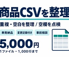商品CSVの重複や空欄を点検・整理します イメージ1