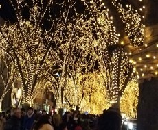 素敵で穴場な国内旅行プランの提案をさせて頂きます イメージ1