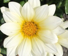 心の悩み聞きます イメージ1
