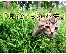 見捨てられちゃうかもしれない気持ちに寄り添います イメージ1