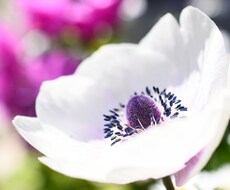１ヶ月間の継続カウンセリングで相談に乗ります イメージ1