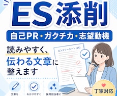 ES・ガクチカ・自己PRを読みやすく整えます イメージ1