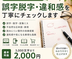 文章の誤字脱字・違和感を丁寧にチェックします イメージ1