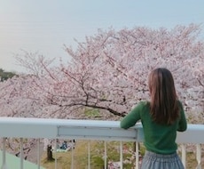 現役保健室の先生！30分間ぽんぽんチャットします 暇つぶしに♡ワンコインで気軽にチャットしましょ♡